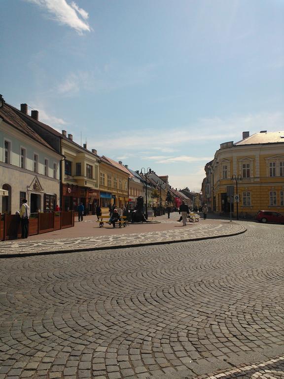 Penzion Lucie Їчін Екстер'єр фото
